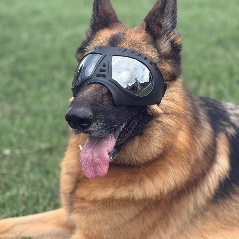 Pet Glasses for medium large-s – обзор и цена Sunglass Retainer Cord